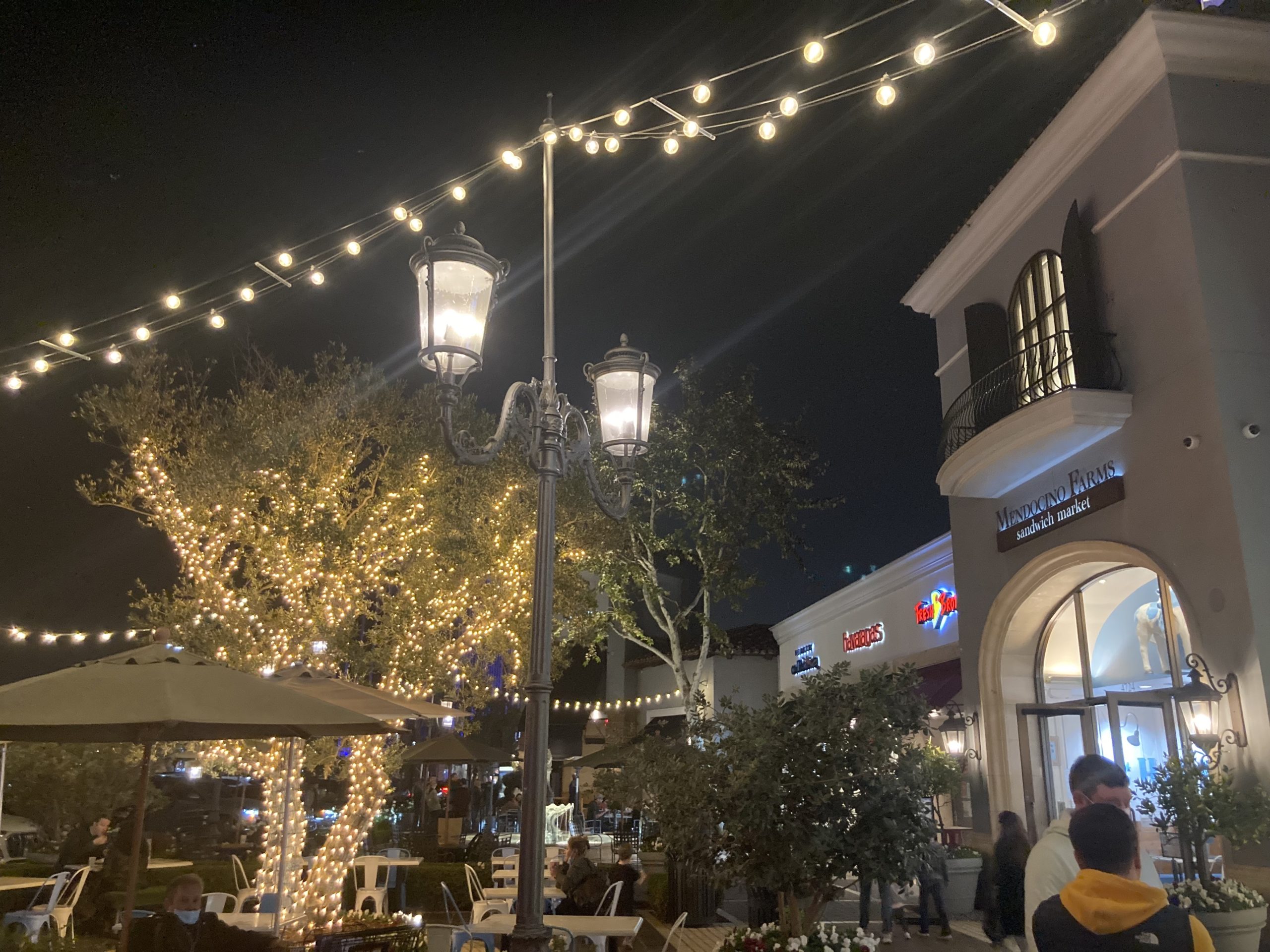 Holiday lights hanging above and on trees in shopping center