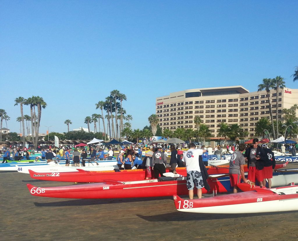 Kayaks lined up together