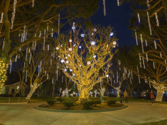 Marina Lights offers nightly holiday lights and free weekend entertainment at Burton Chace Park in Marina del Rey.