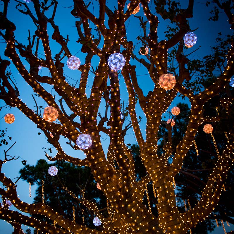 tree decorated with lights