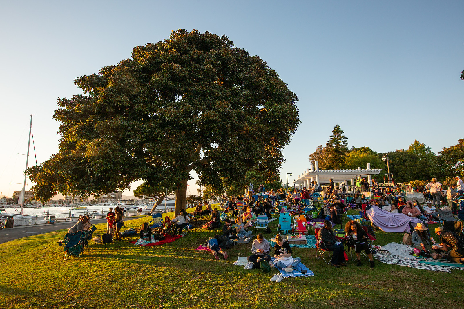 Group of people on grass at park sitting with chairs and blankets enjoying a picnic